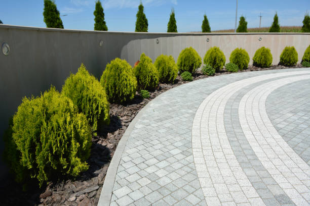 Clinton, SC Driveway Pavers Pros